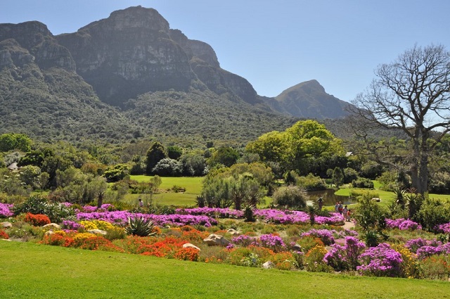 Kirstenbosch National Botanical Garden, pulsetawk